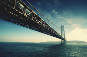 南部縣首屆菜花節游覽線路簡介