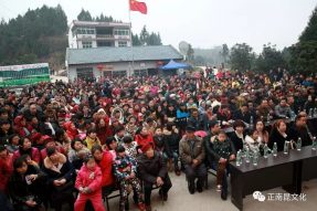 村晚十五周年盛典，星光大道明星與您同慶！