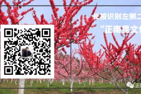 《寺外桃源講花卉》—月季白粉病的防治