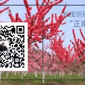 聽聽母親河的聲音 — 《西河流韻》主題曲